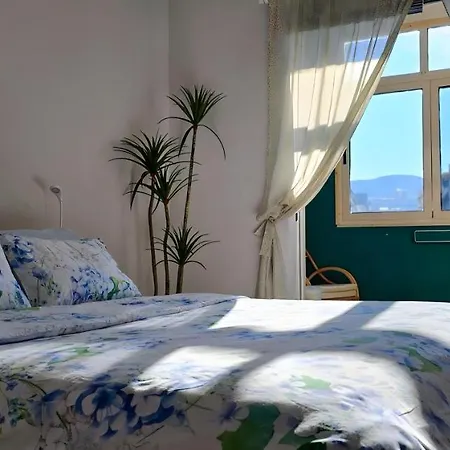 Nuci's Place 2 Sunny With Balcony 15 Min From Bllok * ティラナ