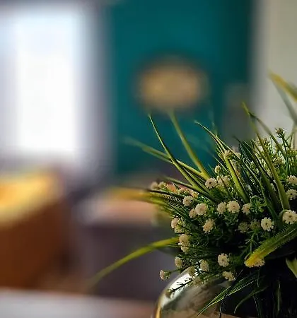 Apartmán Nuci'S Place 2 Sunny Apartment With Balcony 15 Min From Bllok Tirana