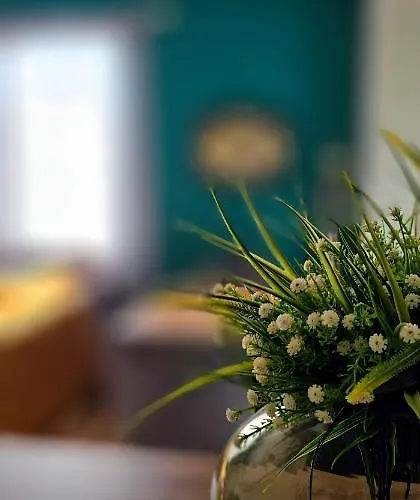 Apartment Nuci's Place 2 Sunny With Balcony 15 Min From Bllok Tirana